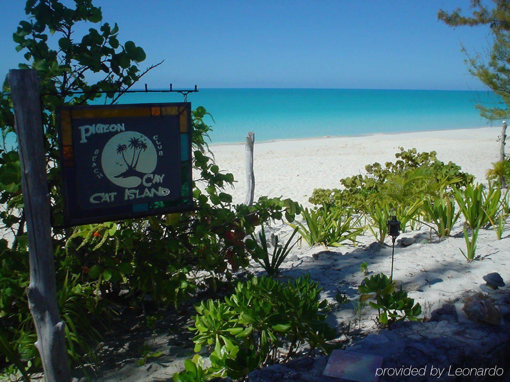 Pigeon Cay Beach Club Arthur Town Exteriör bild